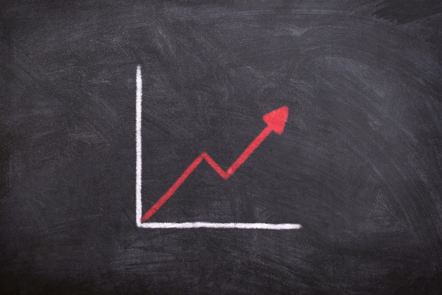 Handelshochschule und Entrepreneurship: Die Förderung des Unternehmergeistes
